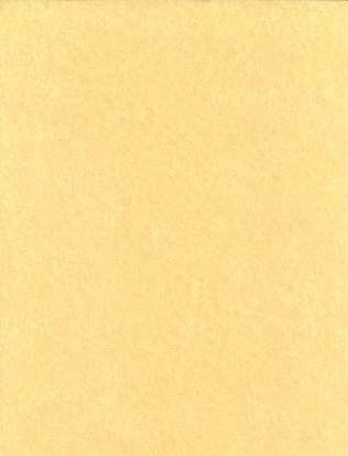 Light Parchment 5 Pack (8 1/2" x 11")